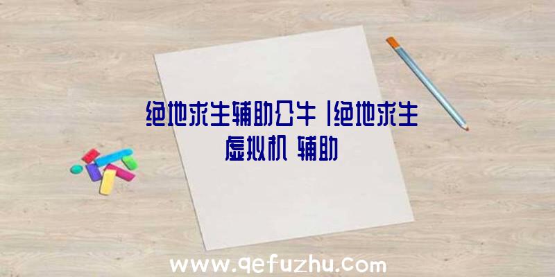 「绝地求生辅助公牛」|绝地求生